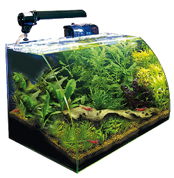 ACUARIO BOX VISION RIVER COSMOS